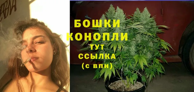 Шишки марихуана SATIVA & INDICA  закладка  Суоярви 